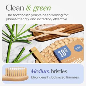 Toothbrushes